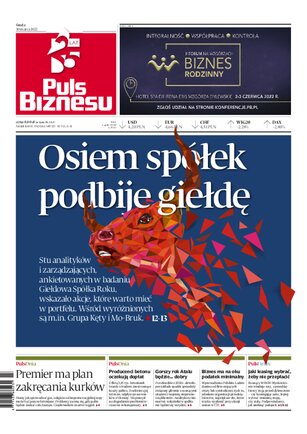 Puls Biznesu 61/2022