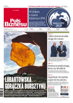 Puls Biznesu 7/2022