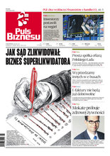 Puls Biznesu 70/2022