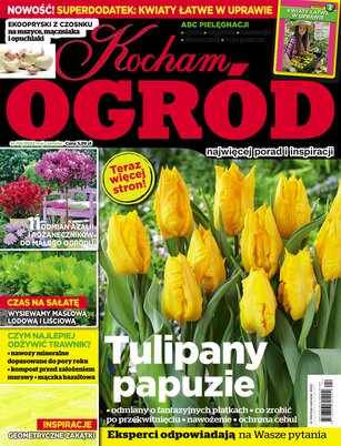 Kocham Ogród 4/2022