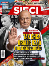 Sieci 31/2022