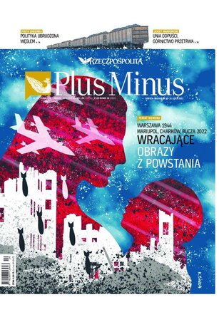 Rzeczpospolita 176/2022
