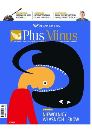 Rzeczpospolita 193/2022