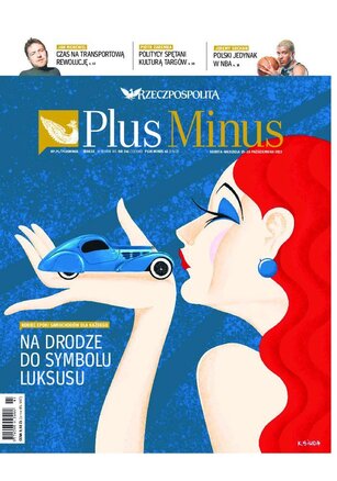 Rzeczpospolita 241/2022