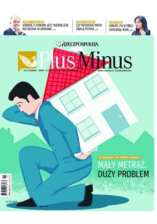 Rzeczpospolita 247/2022