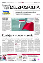 Rzeczpospolita 262/2022