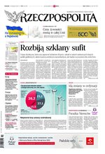 Rzeczpospolita 273/2022