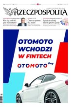 Rzeczpospolita 290/2022
