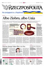 Rzeczpospolita 96/2022