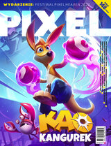 Pixel 6/2022