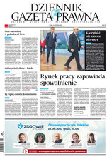 Dziennik Gazeta Prawna 119/2022