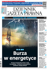 Dziennik Gazeta Prawna 141/2022