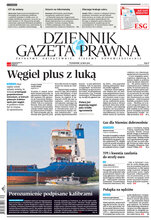 Dziennik Gazeta Prawna 142/2022