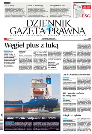 Dziennik Gazeta Prawna 142/2022