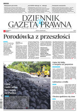 Dziennik Gazeta Prawna 162/2022