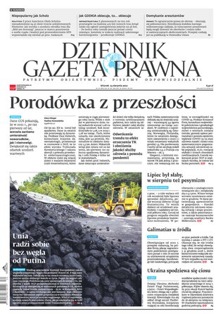 Dziennik Gazeta Prawna 162/2022