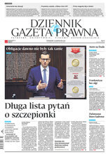Dziennik Gazeta Prawna 206/2022