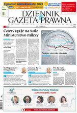 Dziennik Gazeta Prawna 226/2022