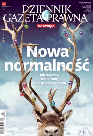 Dziennik Gazeta Prawna 248/2022