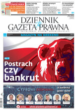 Dziennik Gazeta Prawna 69/2022