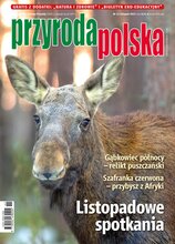 Przyroda Polska 11/2022