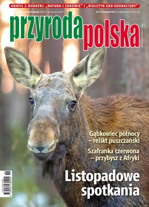 Przyroda Polska 11/2022