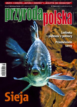 Przyroda Polska 3/2022