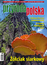 Przyroda Polska 8/2022