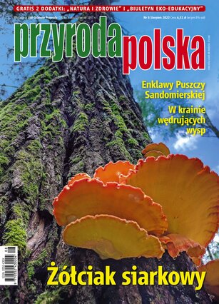 Przyroda Polska 8/2022