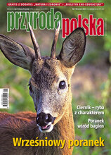 Przyroda Polska 9/2022