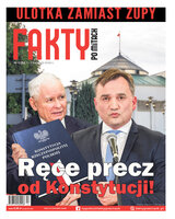 Fakty po Mitach 13/2022