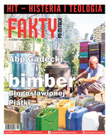 Fakty po Mitach 26/2022