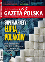 Gazeta Polska 31/2022