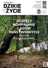 Dzikie Życie 11/2022