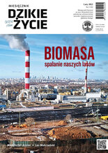 Dzikie Życie 2/2022