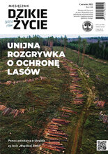 Dzikie Życie 6/2022