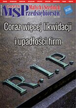 Gazeta Małych i Średnich Przedsiębiorstw 11/2022