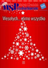 Gazeta Małych i Średnich Przedsiębiorstw 12/2022