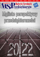 Gazeta Małych i Średnich Przedsiębiorstw 2/2022