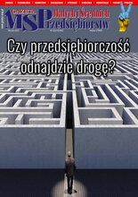 Gazeta Małych i Średnich Przedsiębiorstw 3/2022