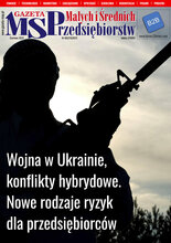 Gazeta Małych i Średnich Przedsiębiorstw 6/2022
