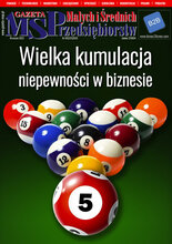 Gazeta Małych i Średnich Przedsiębiorstw 9/2022