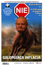 NIE 25/2022