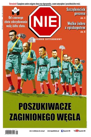 NIE 29/2022