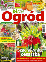 Mam Ogród 4/2022