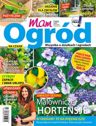 Gazeta Wyborcza Szczecin 137/2023