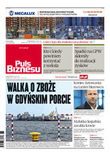 Puls Biznesu 167/2023