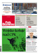 Puls Biznesu 45/2023