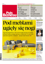 Puls Biznesu 6/2023