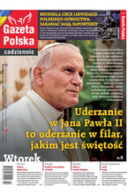 Gazeta Polska Codziennie 46/2023